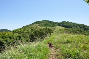 草原の尾根