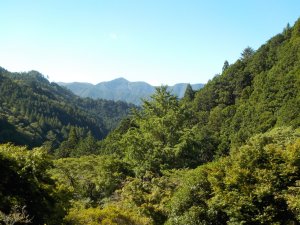 つつじの里　荒滝