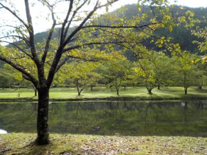 下北山の公園