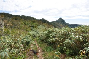 尾根道を歩いて行く