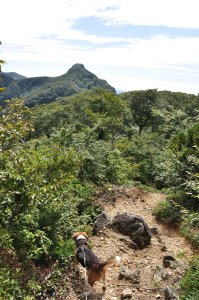 尾根道を行く