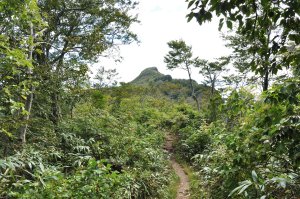 登山道より