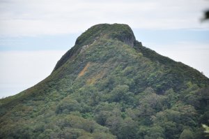 冠山を振り返る