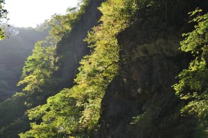 少しだけ秋の気配