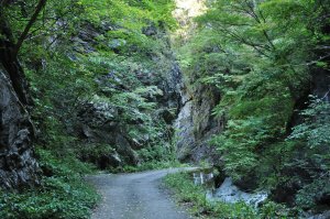 石灰岩の崖