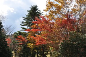 水ヶ塚公園