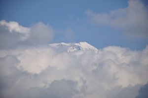 朝霧アリーナより