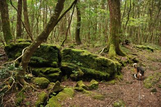 溶岩の塊がゴロゴロ