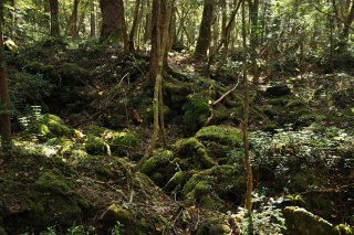 溶岩の連なる地帯