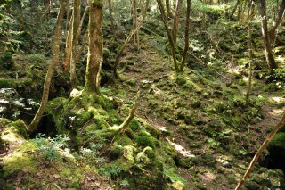 このあたりも溶岩連なる地帯