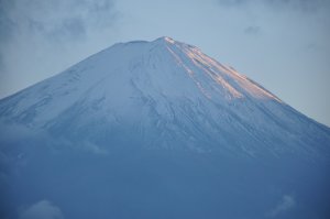 夕日を浴びて