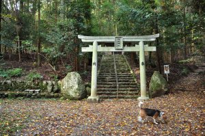 神武神社