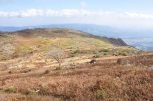 高原状の山上