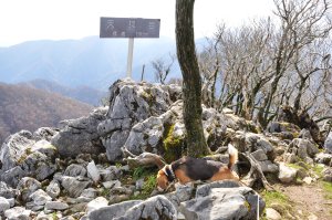 天狗岩　山頂