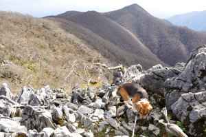 天狗岩より