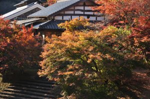 お天気も回復