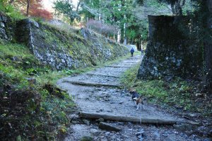 いよいよ核心部に近づく