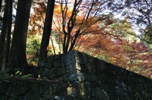紅葉の季節の登城