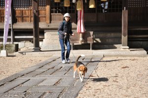 まずは亀山神社へ