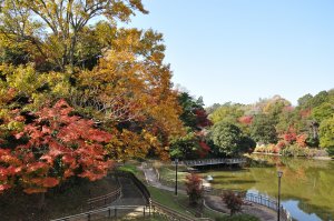 公園内を散策