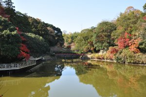 亀山公園