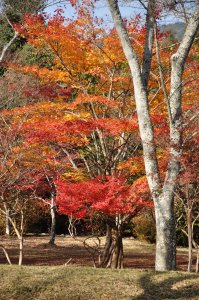 正法寺山荘跡