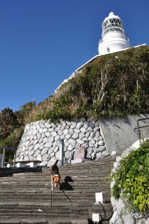 燈台へ　階段を登る