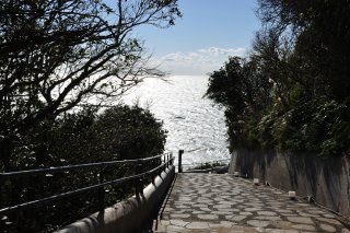 輝く海と燈台への道