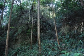 北側の駐車場より登城