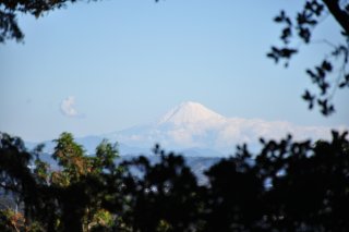 富士山が見えたぜ！