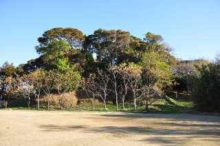 北の丸から松尾山