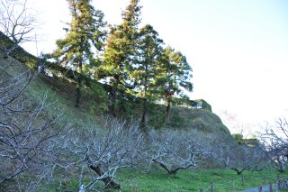 北側の土塁