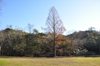 静岡県立森林公園へ