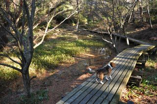 親水広場あたり