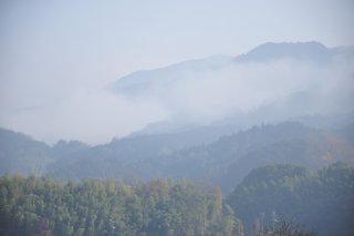 朝から霧が立ち込め寒い