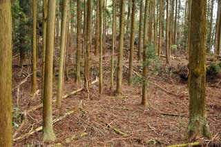 北の尾根にも削平地