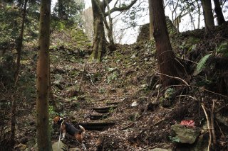 登り返して　大手門へと向かう