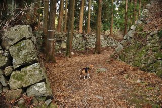 壺坂口中門跡