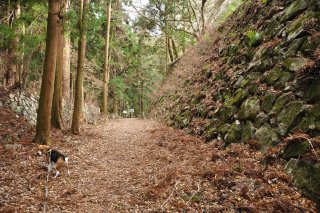 この先は大手門跡へ