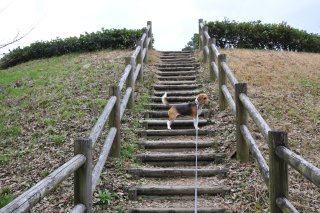 黒塚古墳に登る