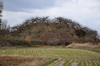 いたるところに古墳