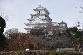 東北より天守閣