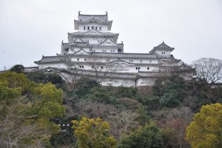 シロトピア記念公園　北側より天守