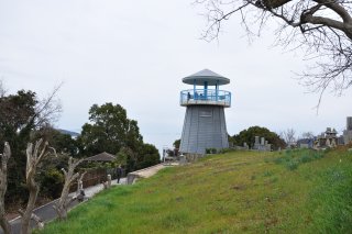 たぬき山展望台