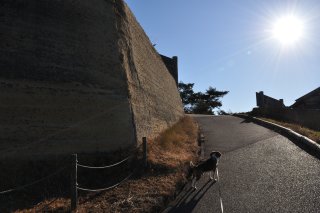 角楼の下　分厚い土塁