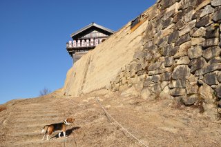 高石垣と土塁と西門