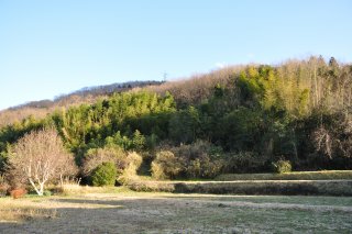 大廻小廻山城のある山