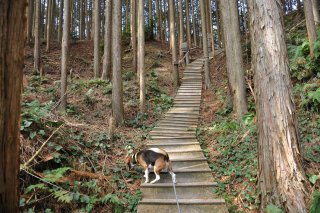 屋敷跡へ