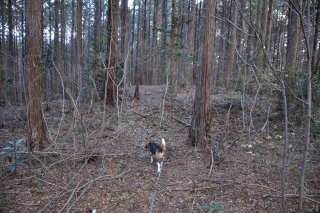 松永屋敷跡の曲輪群の西側へ