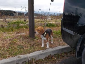 橿原運動公園